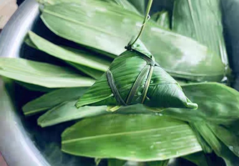 箬竹种