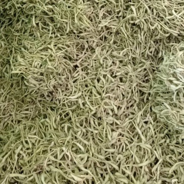 金银花