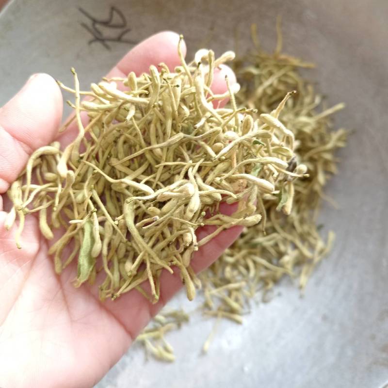 金银花