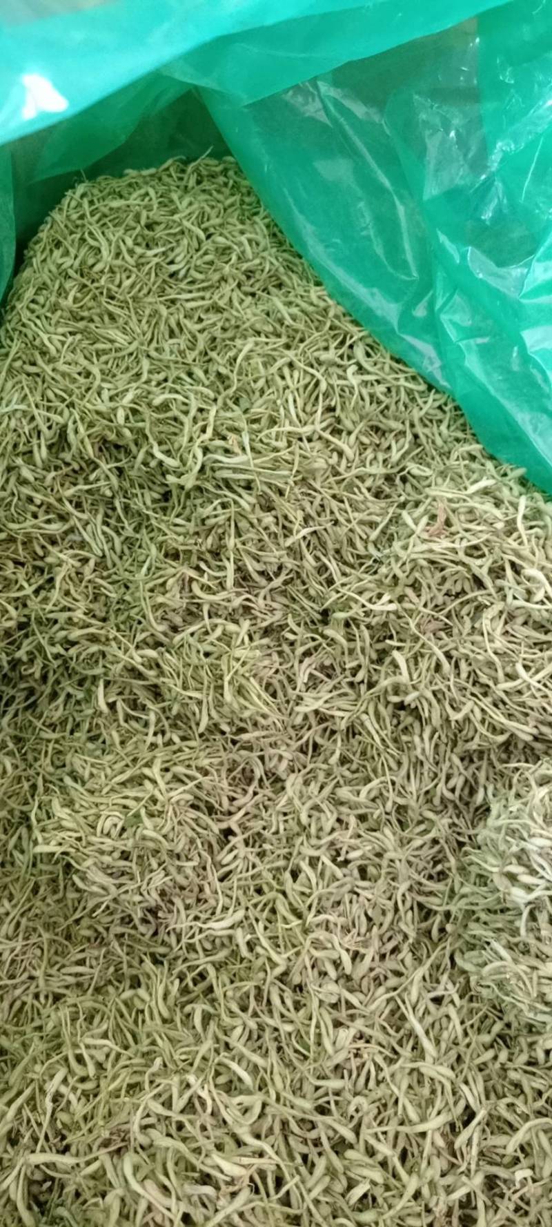 金银花