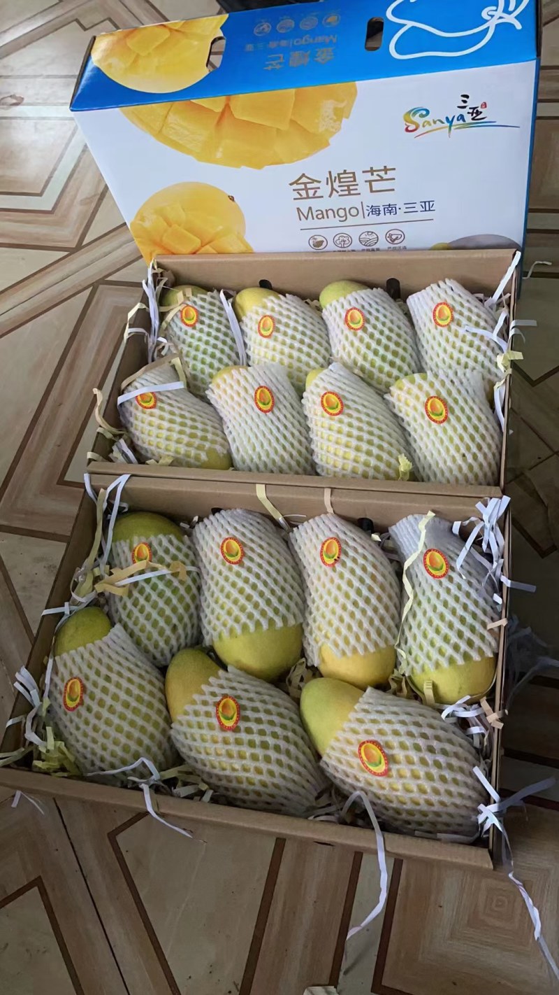 金煌芒4两以上，鲜优果蜀供应链