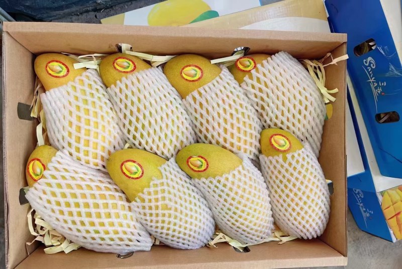 金煌芒4两以上，鲜优果蜀供应链