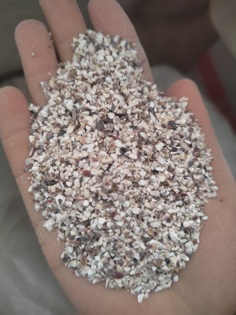 芡实，芡实米，两半芡实，芡实各种规格，大货批发