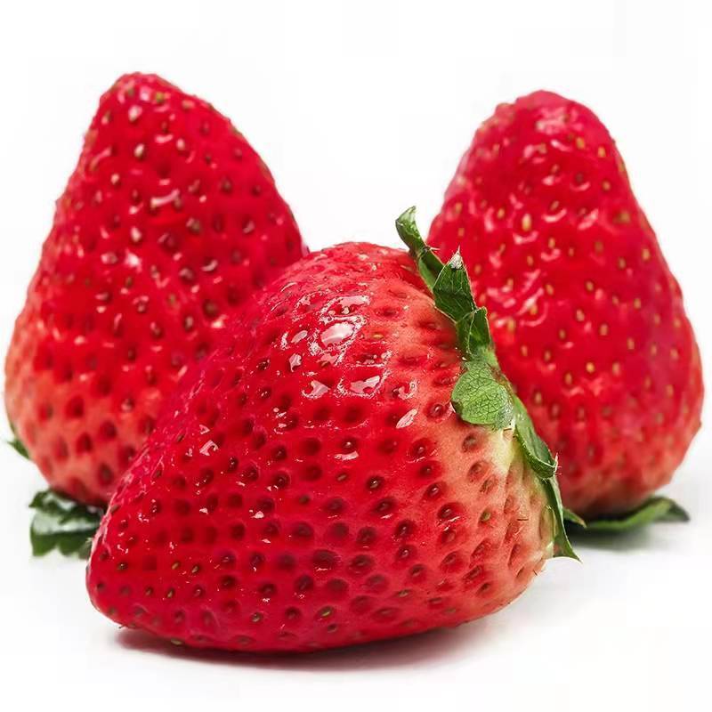 [草莓园现摘现发]草莓新鲜红颜草莓水果批发