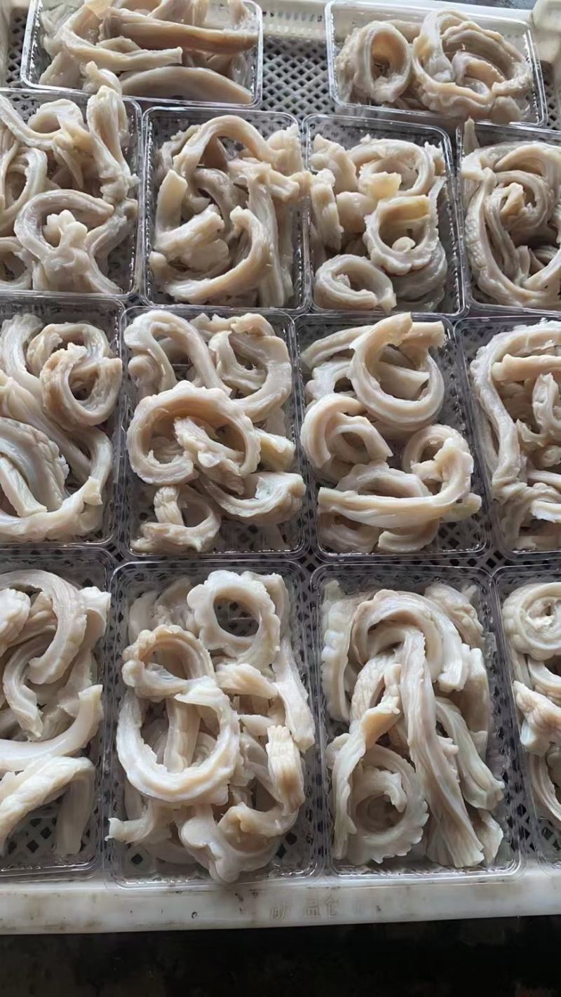 鱼肠鱼肚