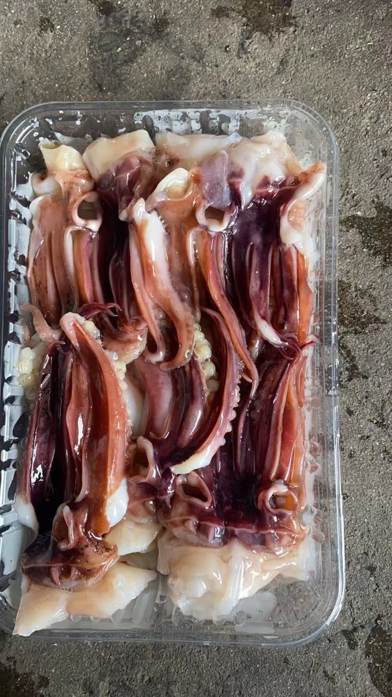 鱼肠鱼肚