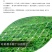 紫穗槐种子，灌刺槐猪屎豆银合欢种子绿化护坡固土草种子批发