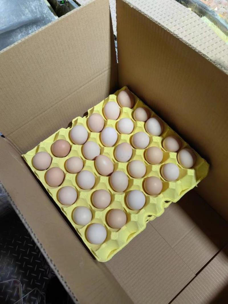 阿德老农民精品土鸡蛋初产蛋，绿壳初产蛋，白乌鸡蛋