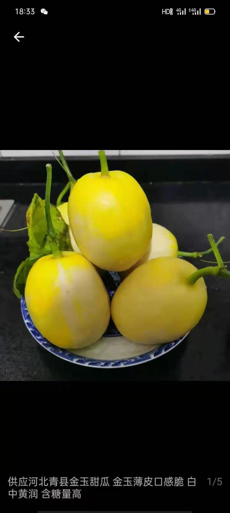 精品博洋九甜瓜，包装精致