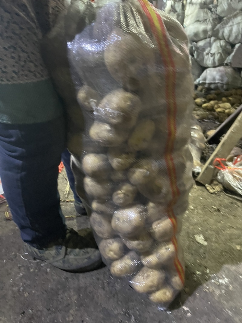 黄心土豆
