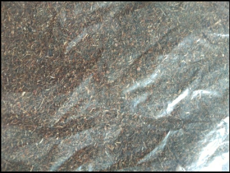 鹿茸草鹿茸草种子