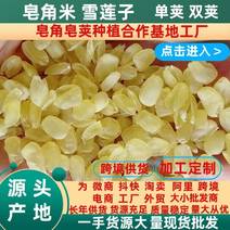 皂角米雪莲子单荚双大中小籽，货源充足，厂家直供，量大从优
