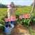 2023年英德红茶英德老树茶春茶