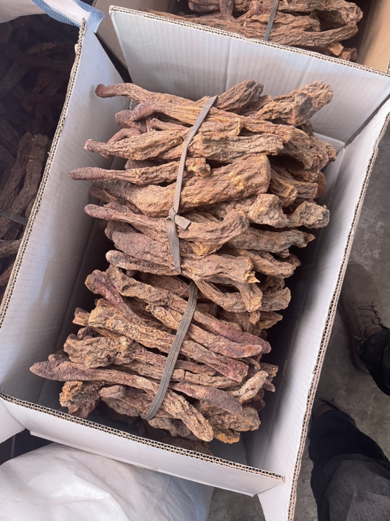 青海柴达木盆地，精选长条锁阳，精品冬锁阳，产地直发