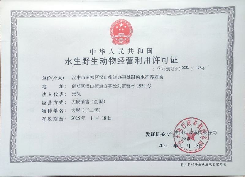 娃娃鱼活体包邮，大小规格齐全，自养自销，价格实惠