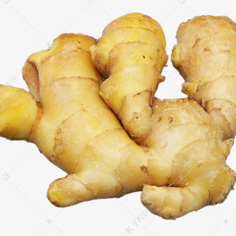 小黄姜