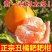 春见耙耙柑