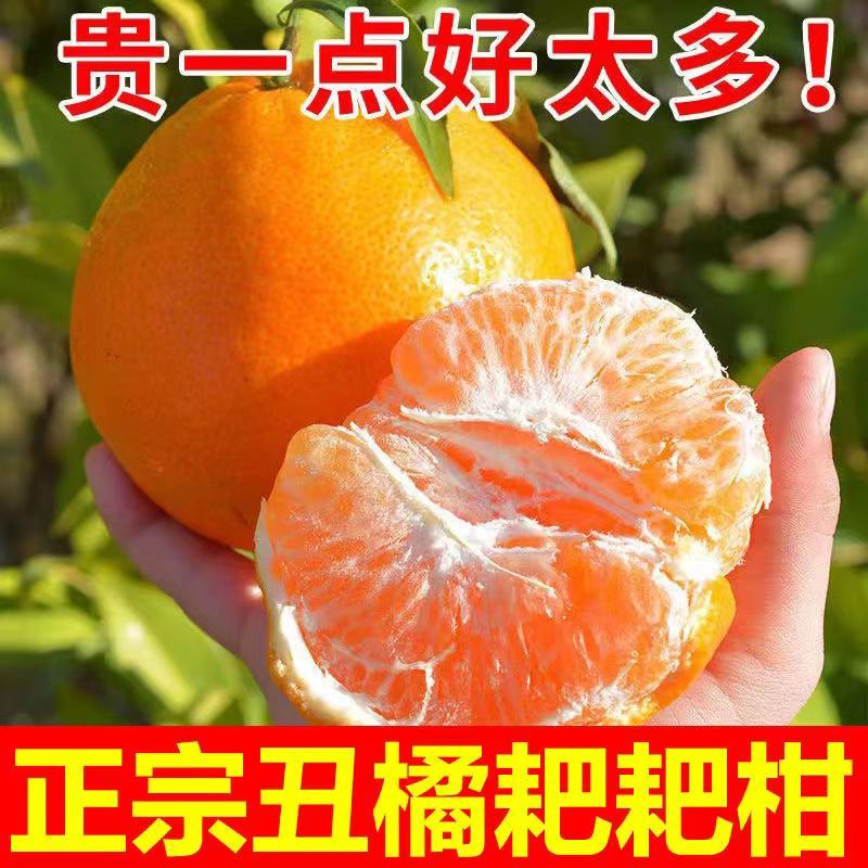 春见耙耙柑