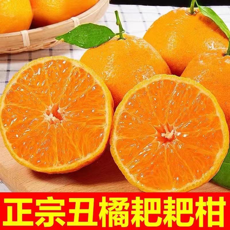 春见耙耙柑