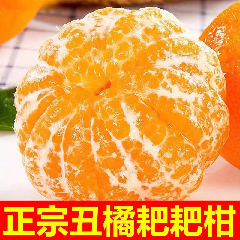 春见耙耙柑