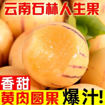 [一件代发]人参果现货对接电商直播滴滴滴滴滴滴滴
