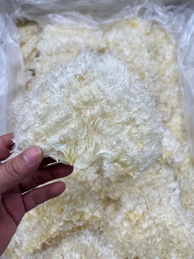 翅花五羊金勾茶勾勿骨鱼翅菊花鱼翅黑角鱼翅各种鱼翅