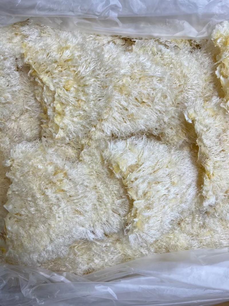 翅花五羊金勾茶勾勿骨鱼翅菊花鱼翅黑角鱼翅各种鱼翅