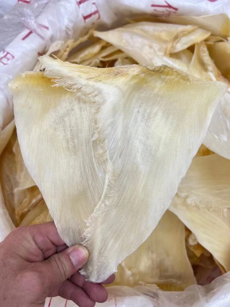 翅花五羊金勾茶勾勿骨鱼翅菊花鱼翅黑角鱼翅各种鱼翅