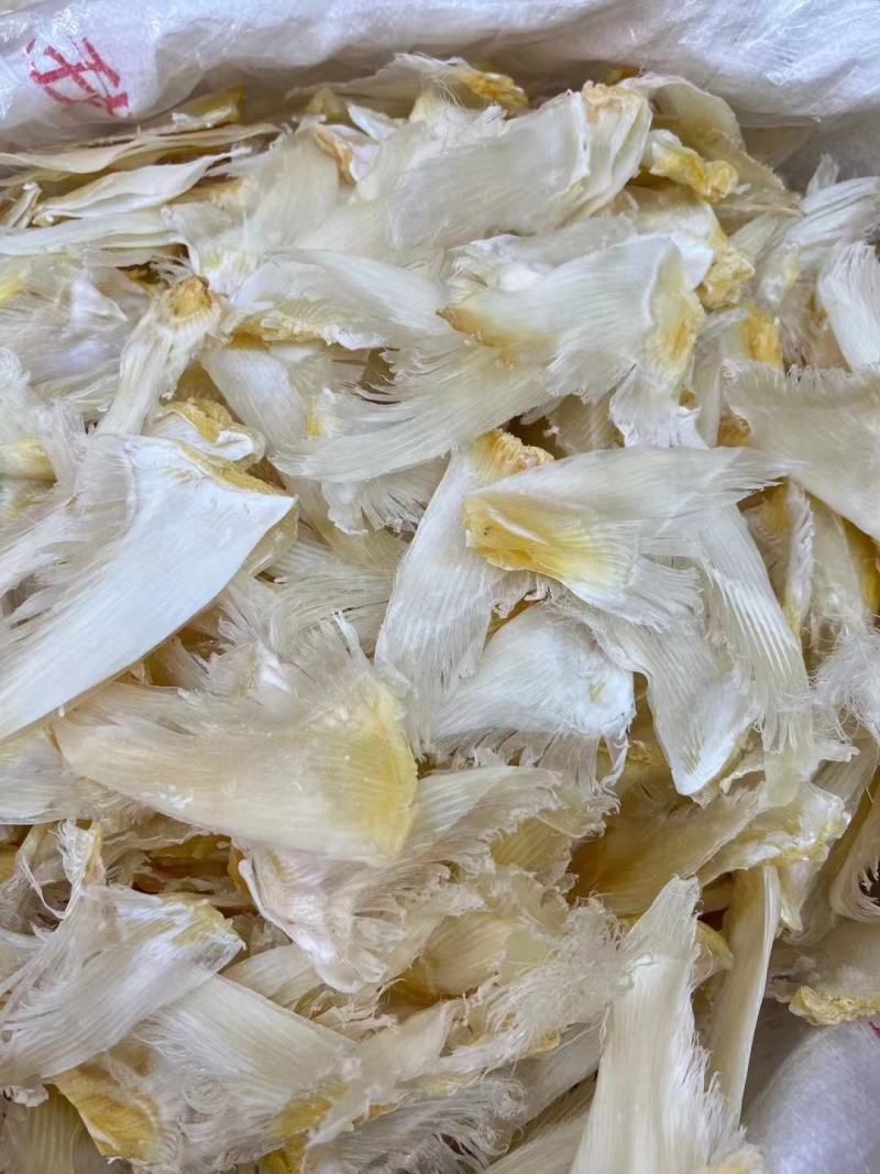 翅花五羊金勾茶勾勿骨鱼翅菊花鱼翅黑角鱼翅各种鱼翅