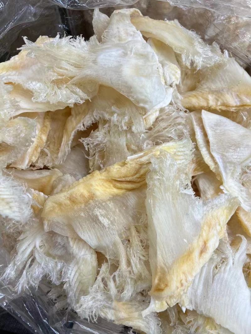 翅花五羊金勾茶勾勿骨鱼翅菊花鱼翅黑角鱼翅各种鱼翅