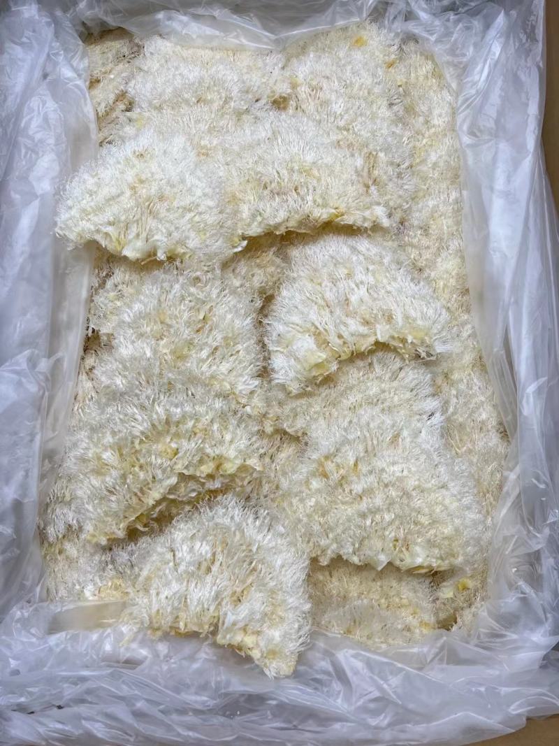 翅花五羊金勾茶勾勿骨鱼翅菊花鱼翅黑角鱼翅各种鱼翅