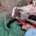 驴肉