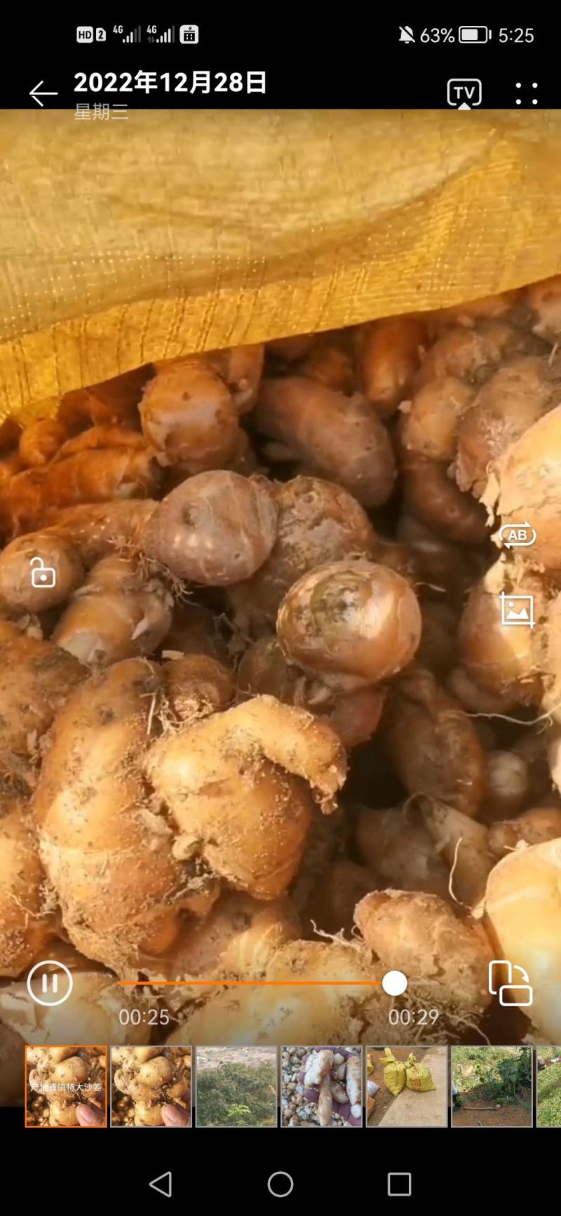 沙姜个头大，够黄，排姜，味道浓郁，需要请联系