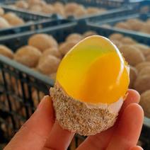 阿德老农民水晶变蛋，鹌鹑蛋变蛋，鸭蛋皮蛋