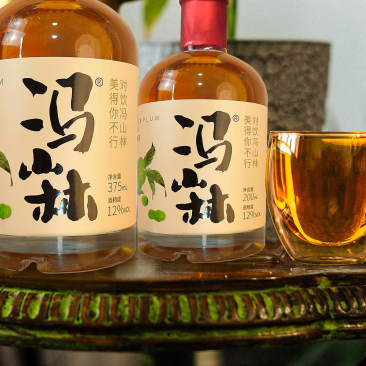 青梅酒果酒源头厂家批发