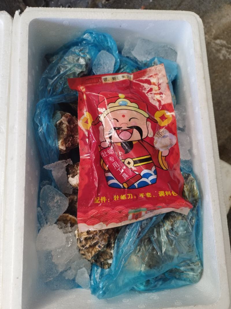 乳山生蚝刺身级生蚝养殖户一手货产地直供团购批发海蛎子