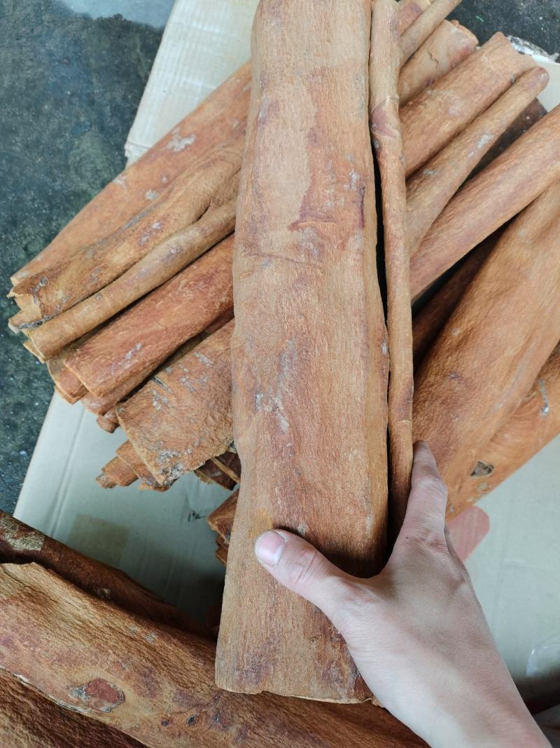 越南清化紫油桂桂皮长短大小多种规格