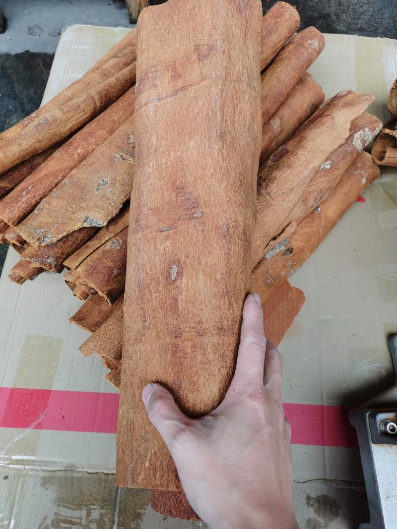 越南清化紫油桂桂皮长短大小多种规格