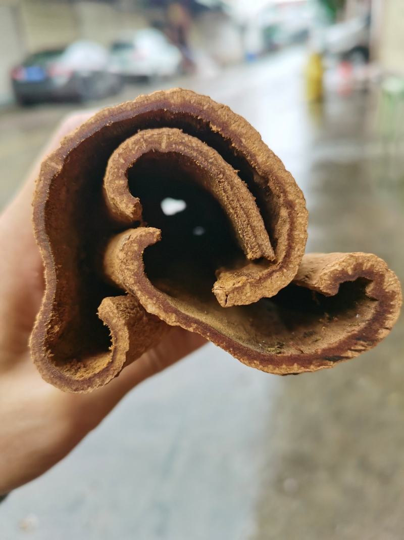 越南清化紫油桂桂皮长短大小多种规格