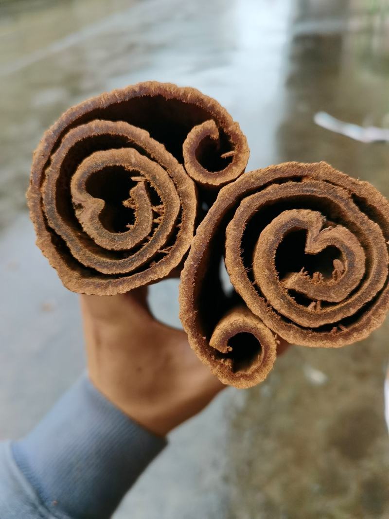 越南清化紫油桂桂皮长短大小多种规格