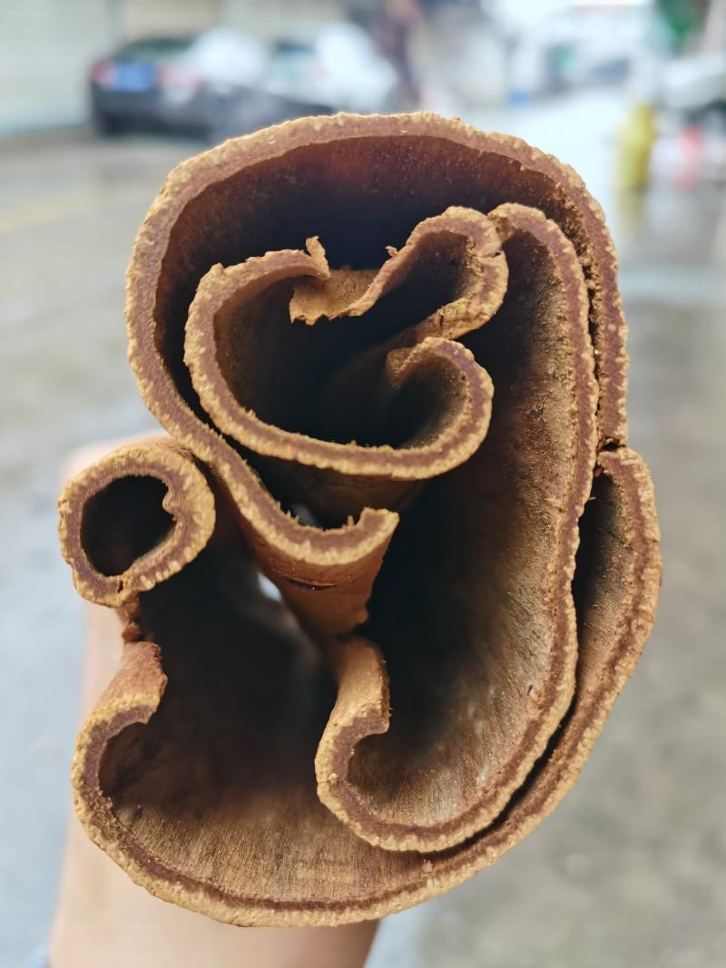 越南清化紫油桂桂皮长短大小多种规格