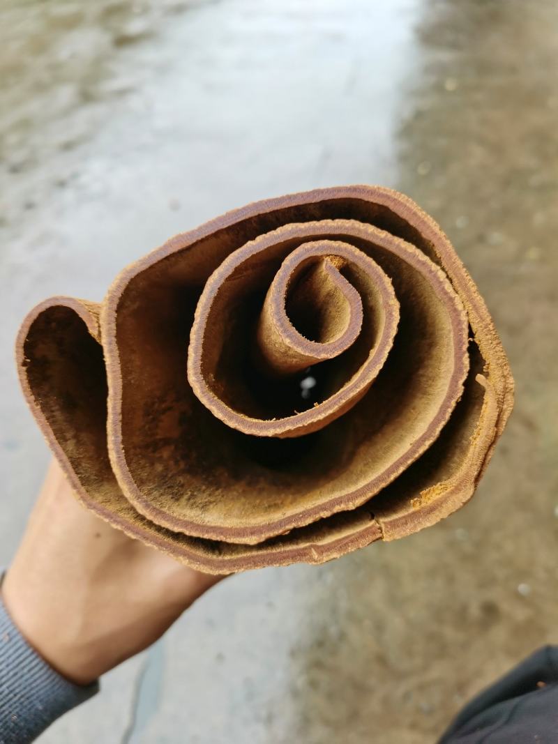 越南清化紫油桂桂皮长短大小多种规格