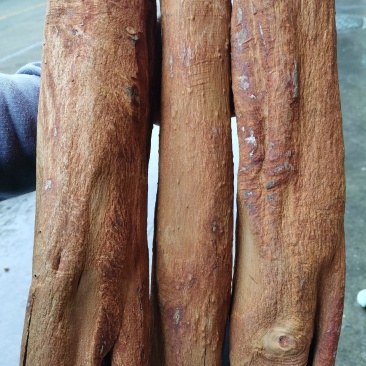 越南清化紫油桂桂皮长短大小多种规格