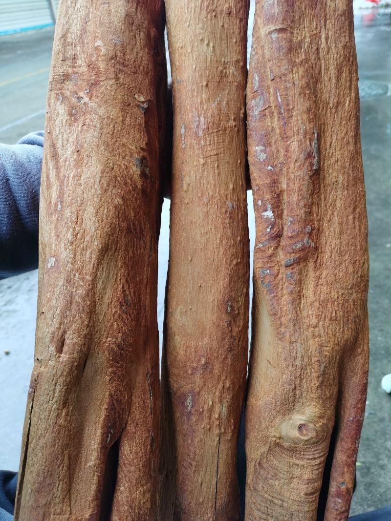 越南清化紫油桂桂皮长短大小多种规格