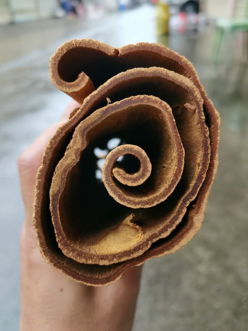 越南清化紫油桂桂皮长短大小多种规格