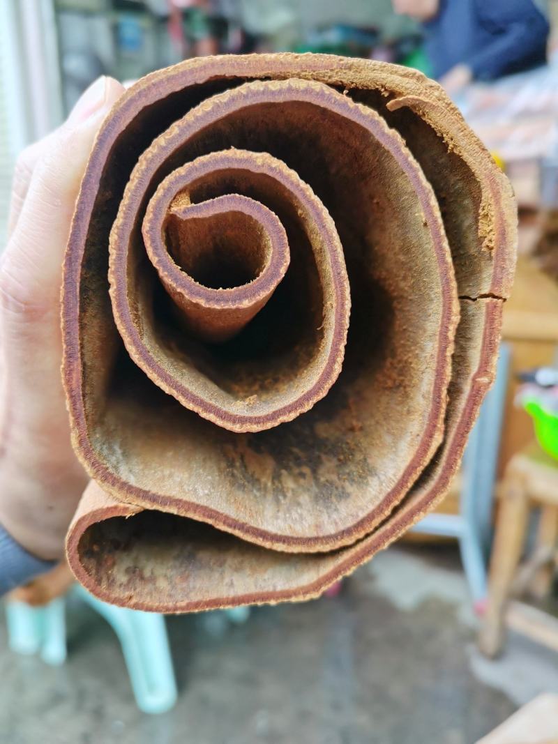 越南清化紫油桂桂皮长短大小多种规格