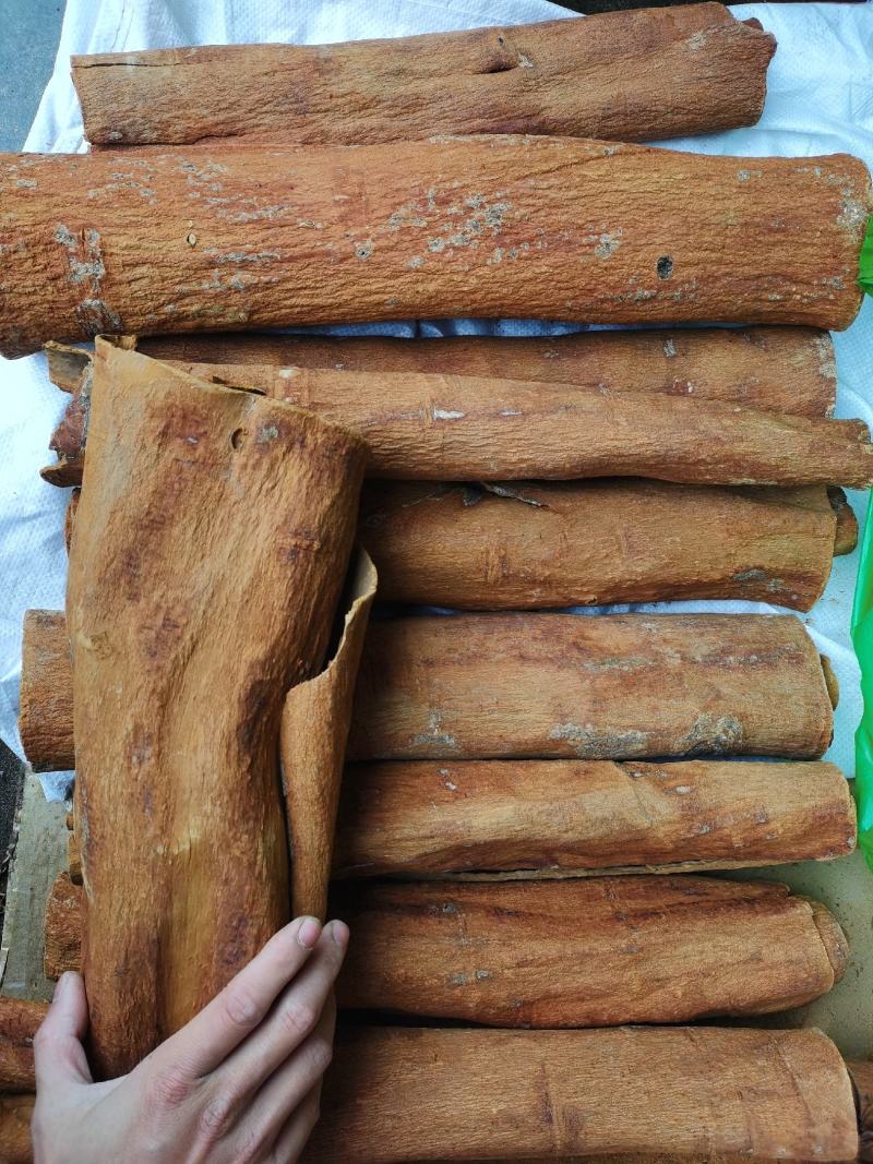 越南清化紫油桂桂皮长短大小多种规格