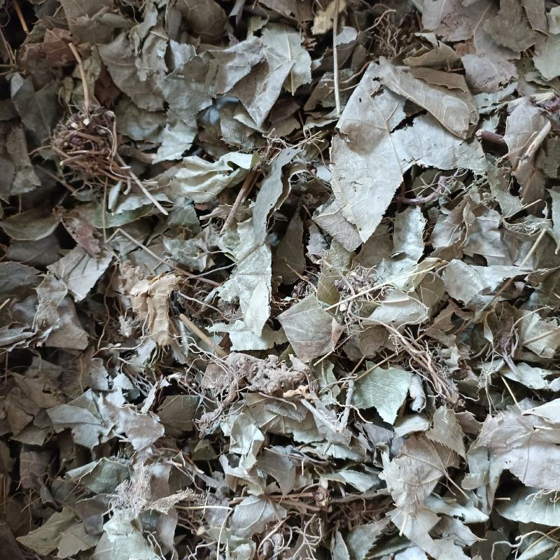 淫羊藿，甘肃小叶淫羊藿，中药材批发，按方抓药，超微粉加工