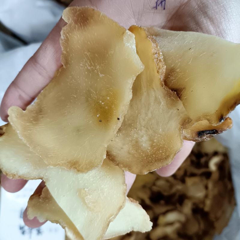黄精，黄精片，制黄精，九蒸九晒黄精，中药材批发