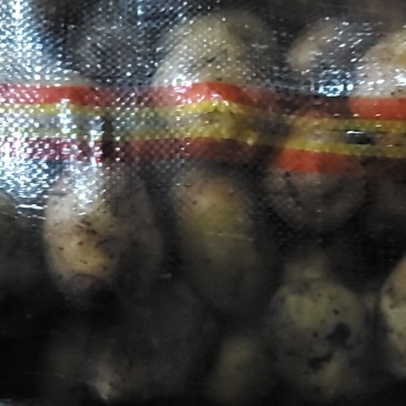 精品马玲署